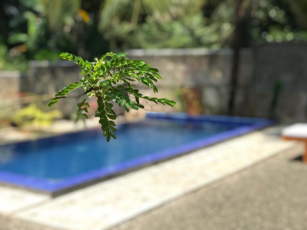 Peaceful Green Villa Unawatuna Kültér fotó
